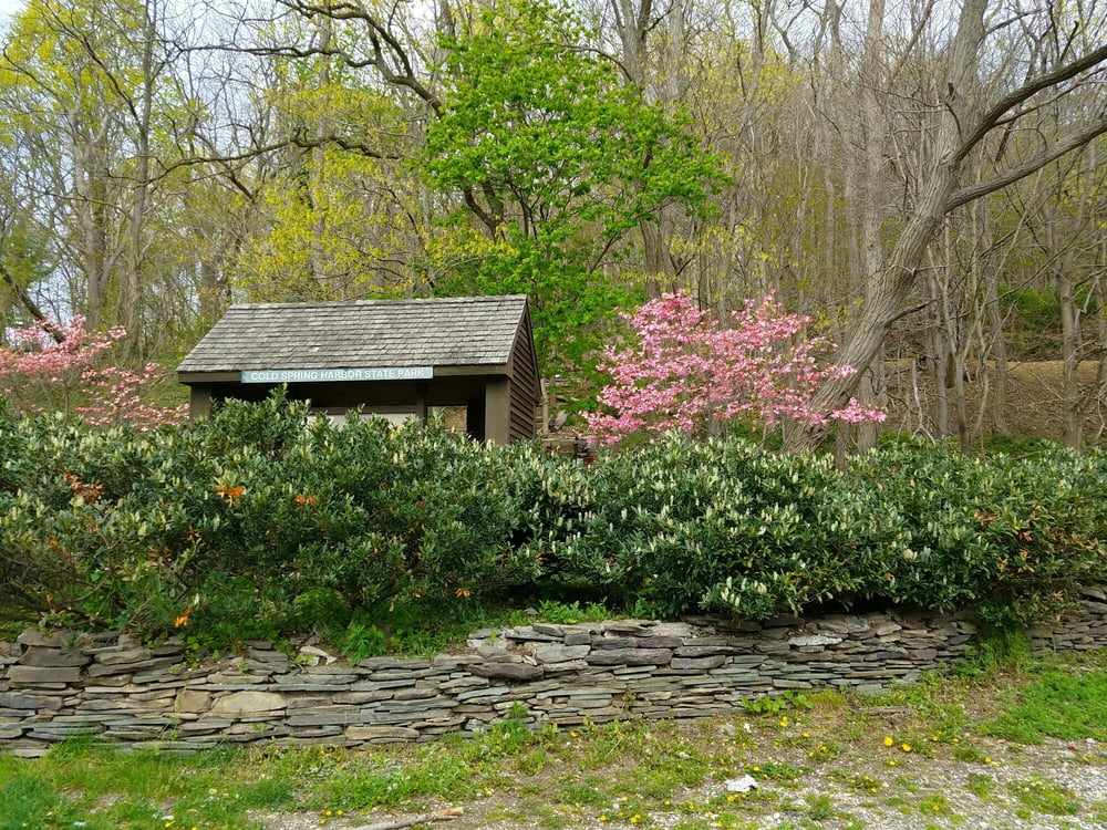 Cold Spring Harbor State Park